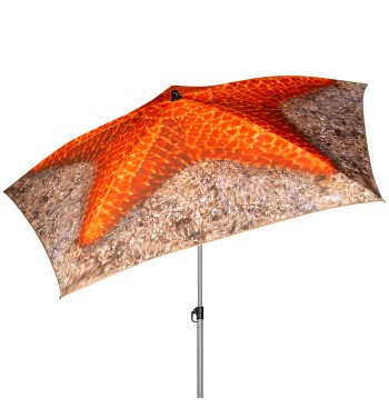 Parapluie de plage à 5 baleines 180 cm étoile de mer