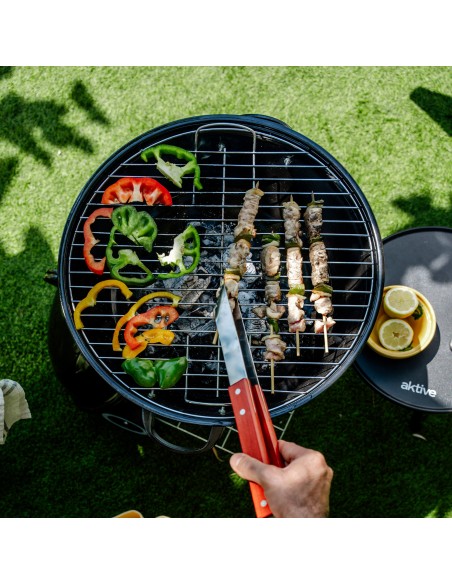 Barbecue au charbon de bois portable avec deux grilles