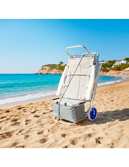 Chariot de plage en aluminium