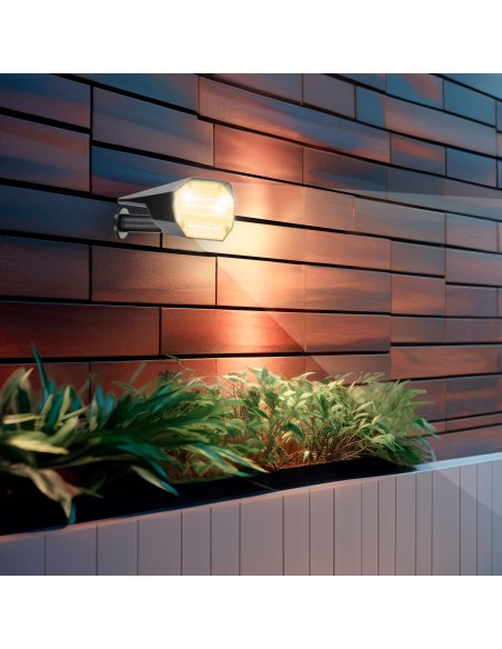 Lot de 6 balises solaires LED multicolores 8x11x37 cm