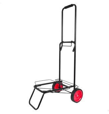 Chariot de plage pliable 35x45x100 cm