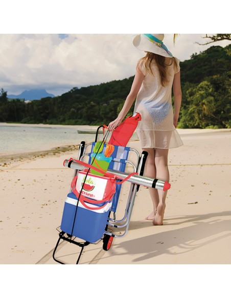 Chariot de plage pliable 35x45x100 cm