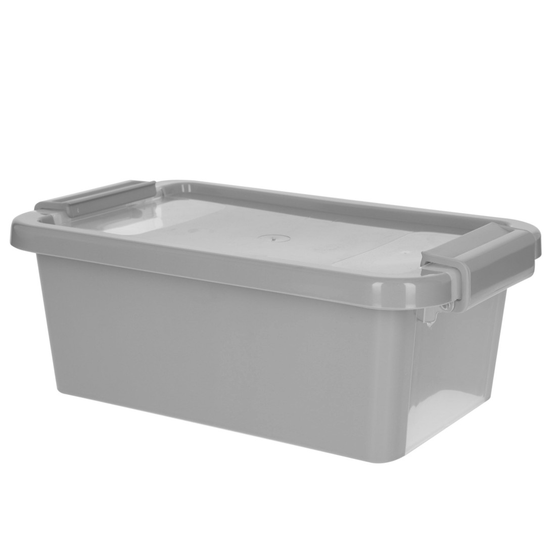 Curver : boîte de rangement avec couvercle bi-box 3 l, grise