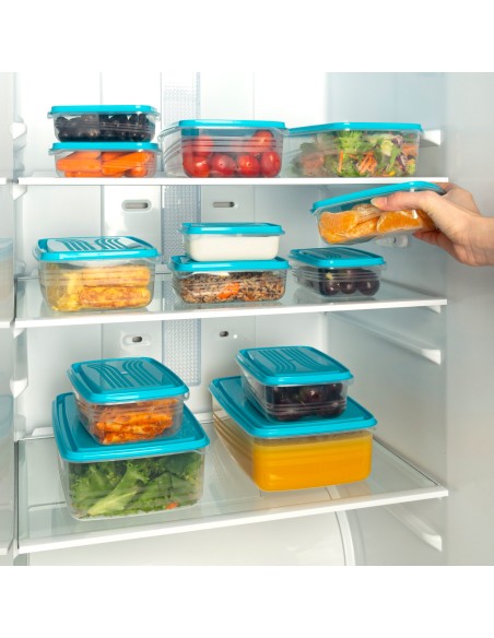 Max Home Pack : 17 récipients en plastique de 0,2 à 2,5 L