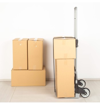 Chariot multifonction extensible 40x40x75/100 cm 2