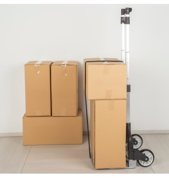 Chariot multifonction extensible 40x40x63/100 cm 2