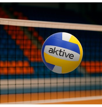 Ballon de volley tricolore T5 280 g 2