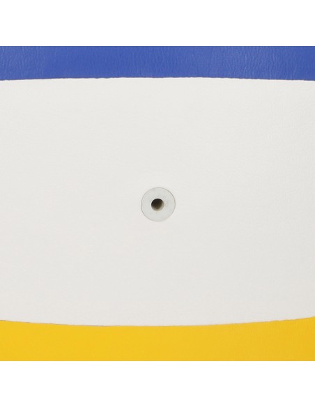 Ballon de volley tricolore T5 280 g