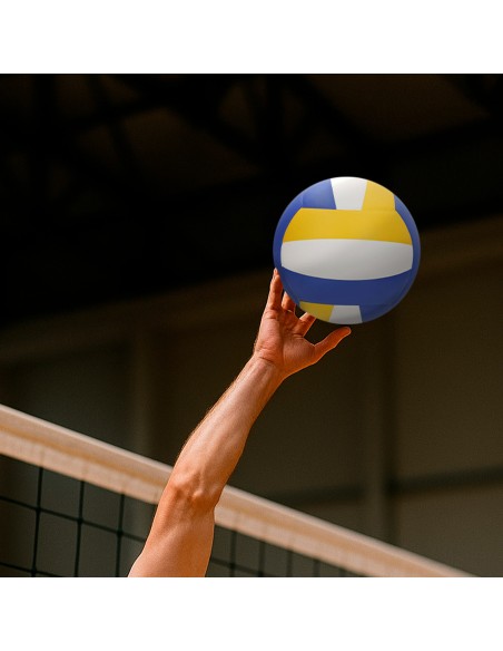 Ballon de volley tricolore T5 280 g