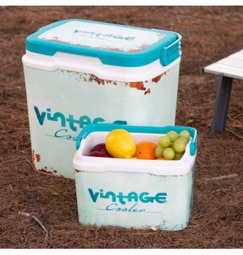 Réfrigérateur portable rigide classique de 5 litres 2