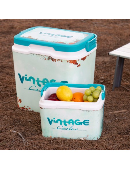 Réfrigérateur portable rigide classique de 5 litres