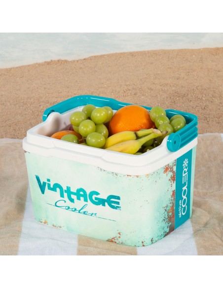 Réfrigérateur portable rigide classique de 5 litres