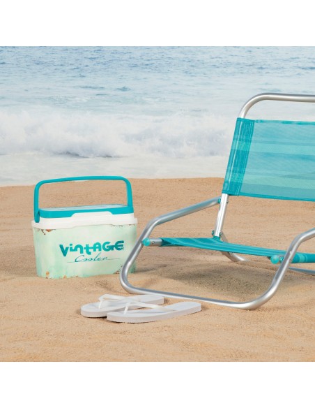 Réfrigérateur portable rigide classique de 5 litres