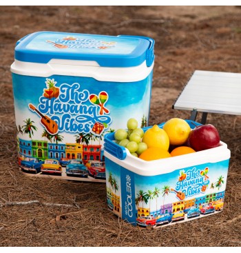 La glacière rigide portable Havana Vibes de 5 litres 2